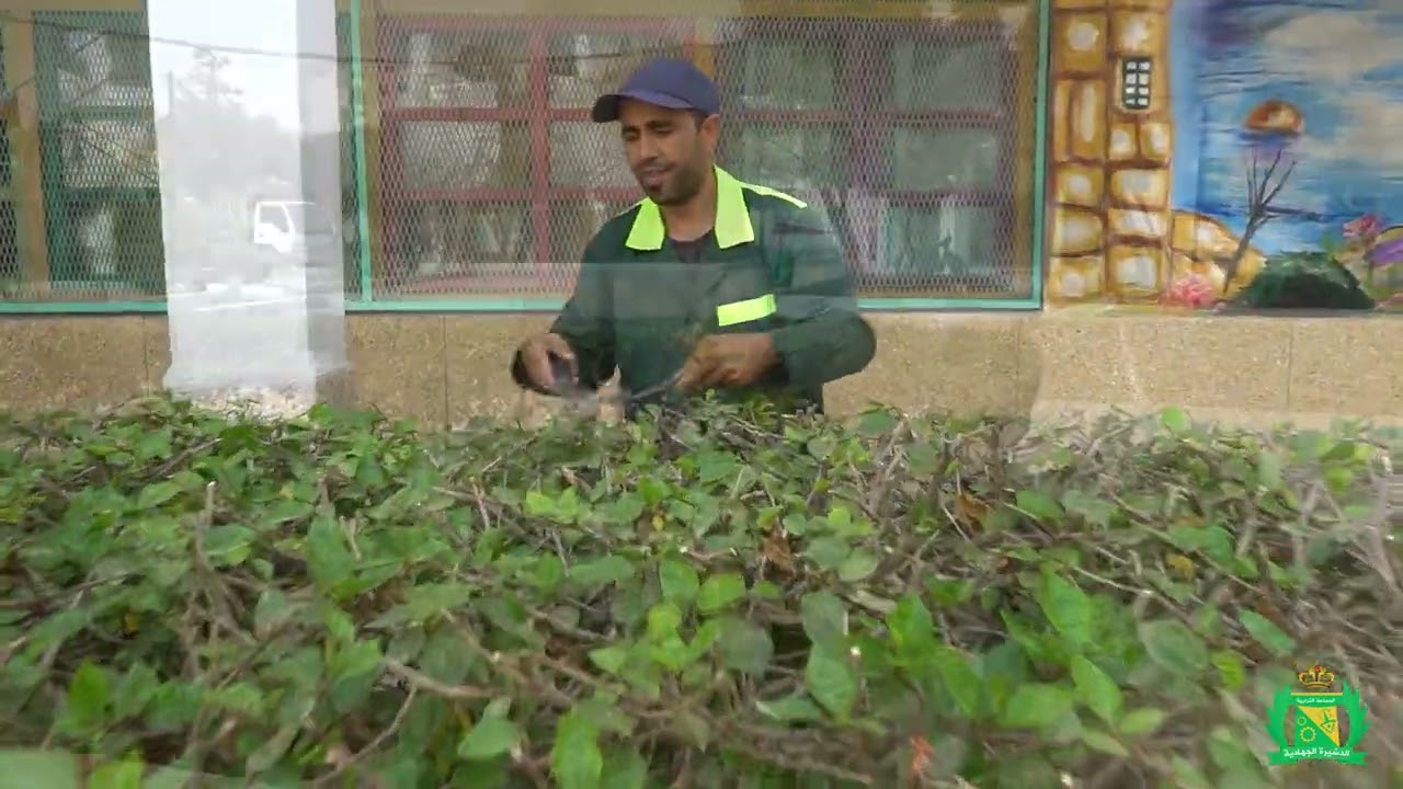 مجموع تدخلات مصلحة الأغراس والمساحات الخضراء التابعة للجماعة بالمؤسسات التعليمية