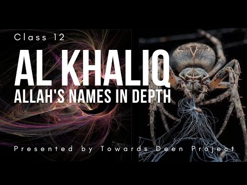 Al Khaliq | 99 Names of Allah | Asma ul Husna Al Khaliq | Class 12 | Towards Deen Project