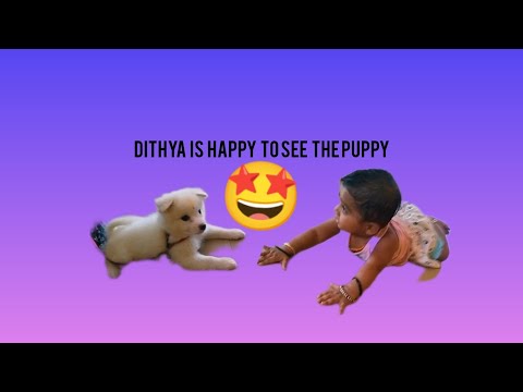 Deetya is happy to see the puppy😍 #petlover #pets