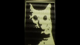 Cover art for A.M Speech