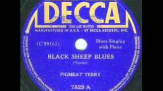 Pigmeat Terry - Black Sheep Blues