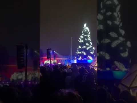 Árvore de Natal acesa. Kaunas Lituânia 2023!!