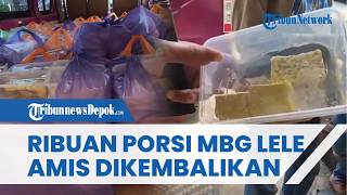 Viral Ribuan Porsi MBG Lele Mentah Berbau Amis Dikembalikan Pihak Sekolah di Pamekasan