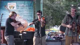 The Monkey and the Fiddle --   Lafayette Rhythm Devils