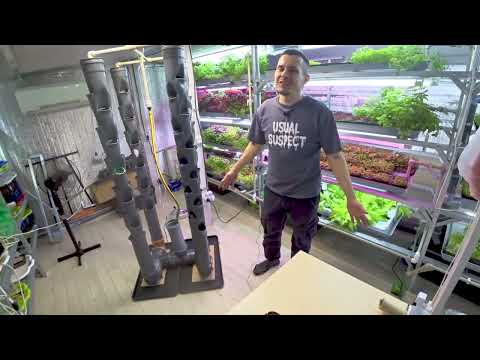 Микрозелень