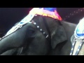 Ringling Bros Circus Begins With Elephant Birthday