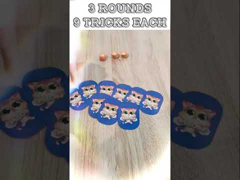 December Cardlendar 2023 - Meow