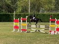 Castrone Welsh Poney (Sezione C) In vendita 2016 Altro colore