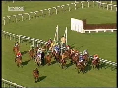 2003 Fulke Walwyn Kim Muir Memorial Challenge Cup Handicap Chase