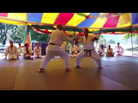 Aïkido avec Luc Mathevet  ( 7 ème Dan )  à Base Nature Vercors Août 2020