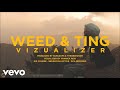 Protoje - Weed & Ting Lyrics (Lyric Video)