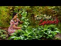 Spinach for Tea time! Do you prefer it Savory or Sweet? | Traditional Me