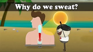 Why do we sweat? | #aumsum #kids #science #education #children