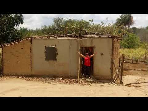 SAUDADES DA MINHA ROÇA