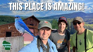 Birding and Exploring a Western WILDLIFE HOMESTEAD!