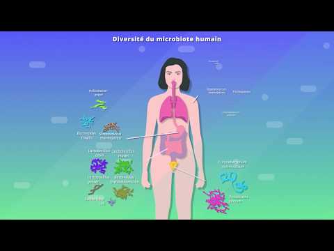 Human microbiota and health (SVT 2nd year)