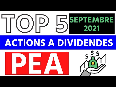 , title : 'Bourse : TOP 5 ACTIONS à DIVIDENDES PEA SEPTEMBRE 2021'