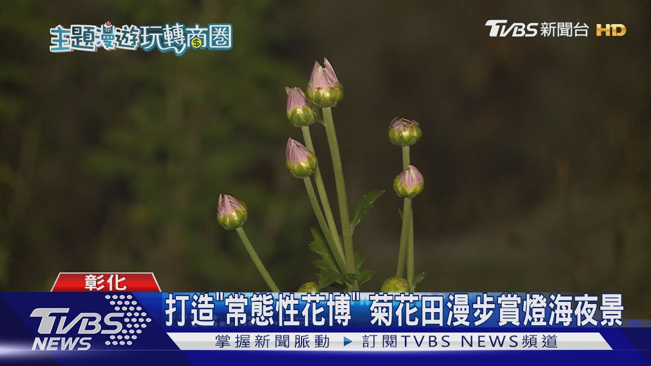 漫遊田尾「拈花惹草」　二水尋幽望天聽風