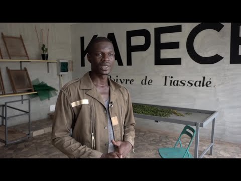 , title : 'La Côte d'Ivoire s'essaye à la culture du poivre'