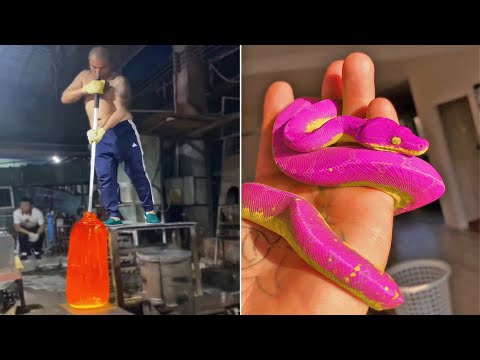 Oddly Satisfying Video With Relaxing & Calm Deep Sleep Music for Stress Relief & Meditation Ep258