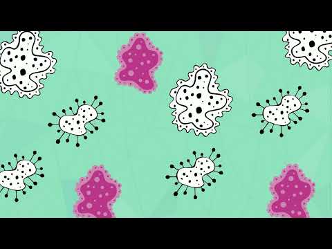 Oberflächenreinigung in Leichter Sprache