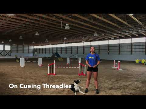 All About Cueing Threadles