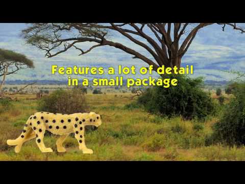 Safari Ltd® Good Luck Minis® Cheetahs