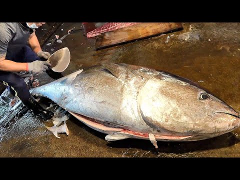 How to Cut 275KG Giant Bluefin Tuna with Spuper Sharp Knife - Taiwanese street food
