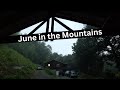 Storm Damage, Family, Bounty & Beauty in the Month of June