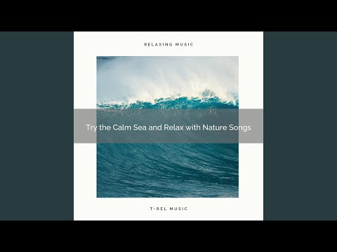 Perfect Beach Sounds for the Best Relax