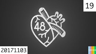 20171103 SNH48 Team SⅡ 第48区 19