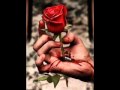 Darkmonk - Сердце Трейсера 