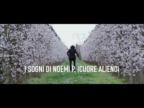 video frame placeholder