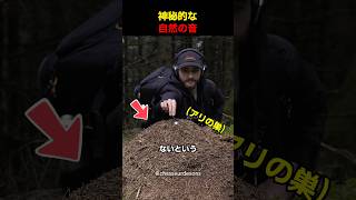 神秘的な自然の音