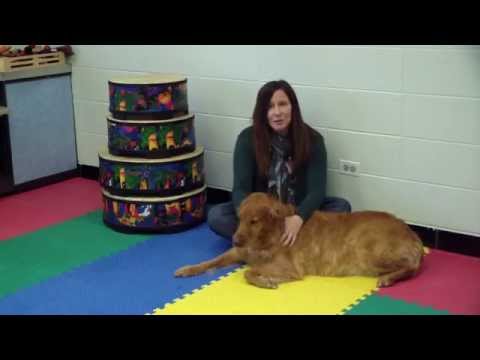 LCFS Harvest Gala: The Seeds of Good Deeds