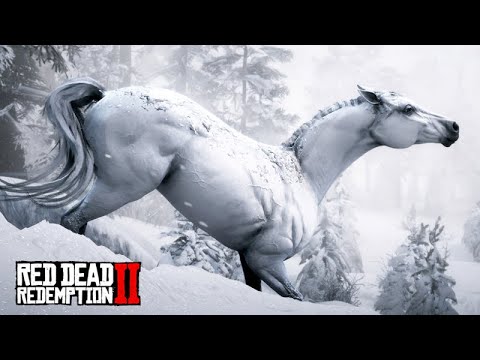 THE HORSE TAMER - TAMING THE PUREBLOOD SNOW WHITE ARABIAN