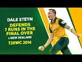 Dale Steyn S Stirring Spell Stuns New Zealand T20WC 2014