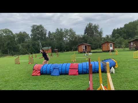 Jumping🔥 agility camp with Ekaterina Sapriko