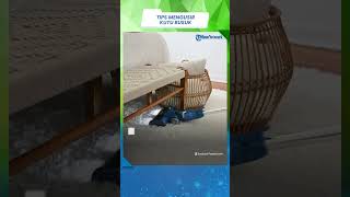 Sering Ditemui di Area Kasur, Begini Cara Ampuh Membasmi Kutu Busuk dari Rumah