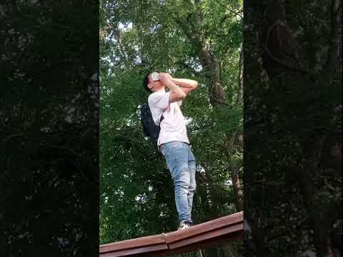 Lilj3t - Magnolia Freestyle ( Official Video ) Prodby OLLY