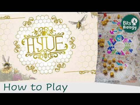 HYVE  How to Play | Bits & Biology