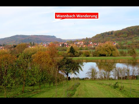 Wanderung im schönen unteren Trubachtal von Pretzfeld nach Wannbach und zurück  am 12.11.2022