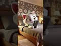When You Left Your Door Open Cat Caton Funny Kitten Animation Kitty Cute Catton Shorts