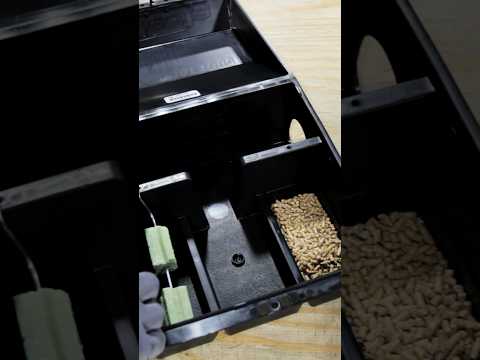 Which Rat or Mouse Bait Type Is Right for You? | DoMyOwn.com