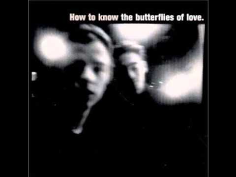 The Butterflies of Love - Rob a Bank