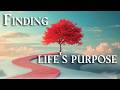 Finding life's purpose! Searching for your path in life? This video is for you! - Rabbi Alon Anava
