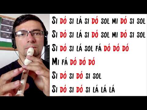 Como Tocar Señorita - Flauta