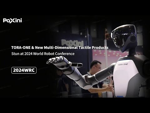 Tora One Review Video 4