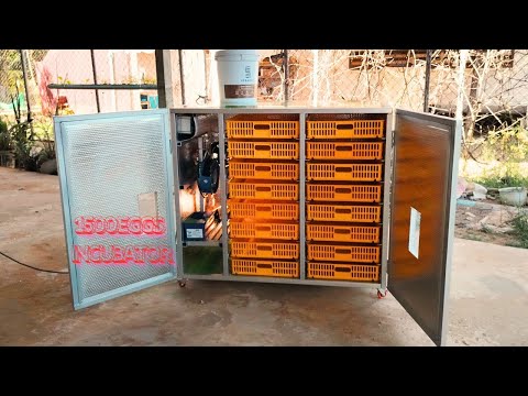 HOW TO MAKE 1500 EGGS INCUBATOR . DIY 1500 Egg Incubator CRAFT for Beginners Revealed! INKUBATOR DIY
