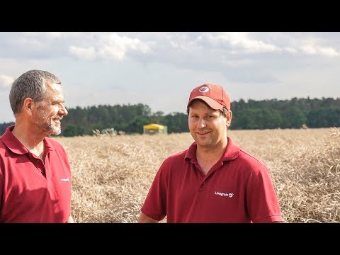 Max' Raps-Tagebuch - Ernte & Fazit | LG Seeds Deutschland